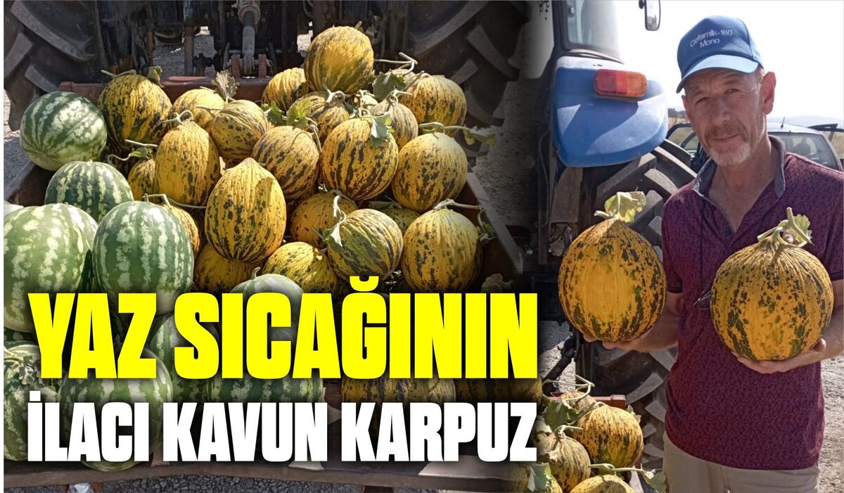 YAZ SICAĞININ İLACI KAVUN KARPUZ