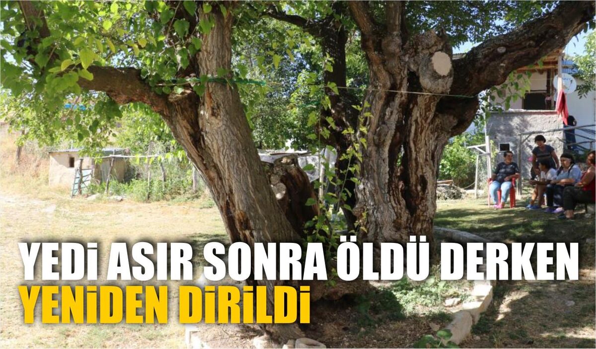 YEDİ ASIR SONRA ÖLDÜ DERKEN YENİDEN DİRİLDİ 