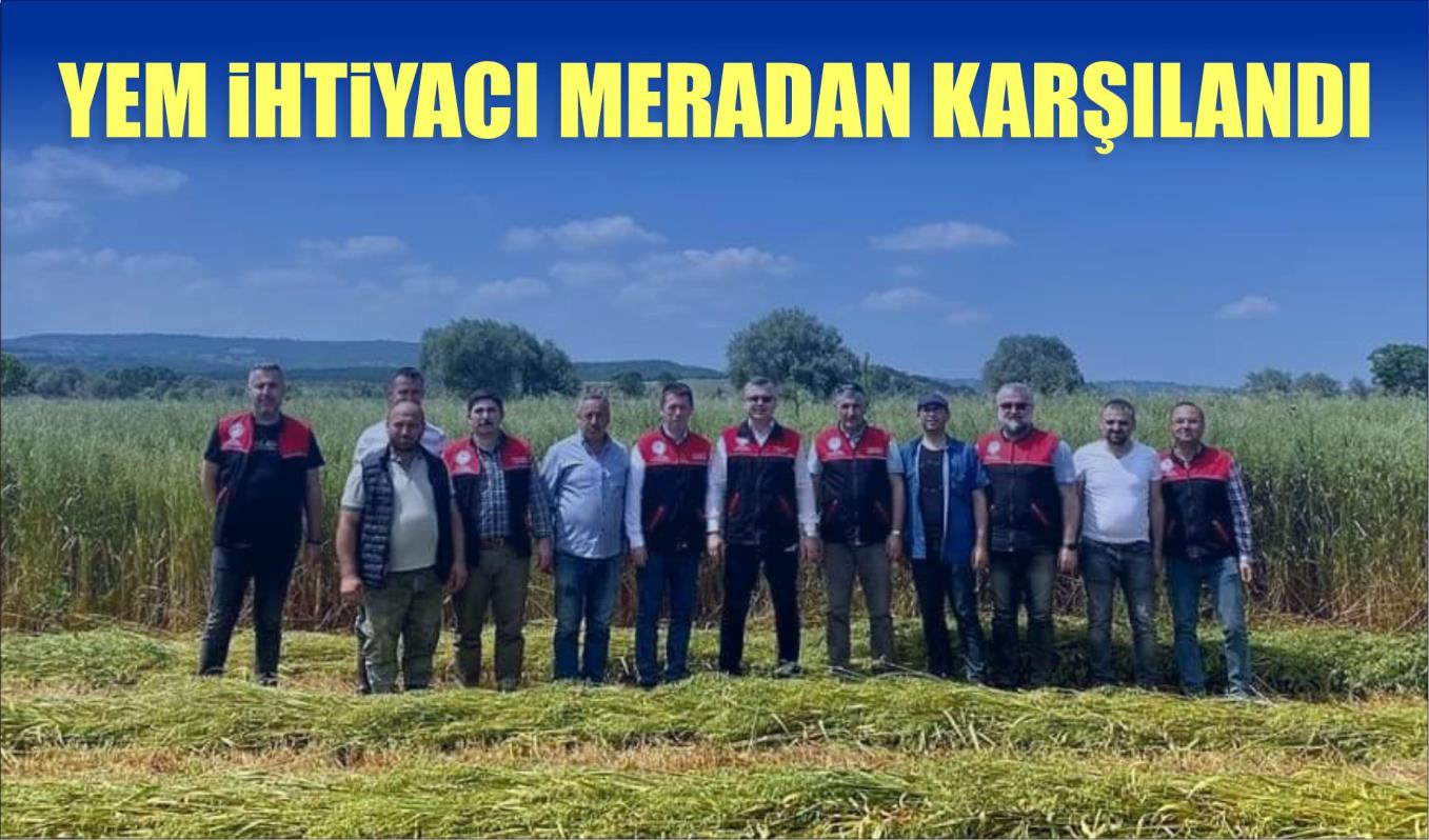 YEM İHTİYACI MERADAN KARŞILANDI