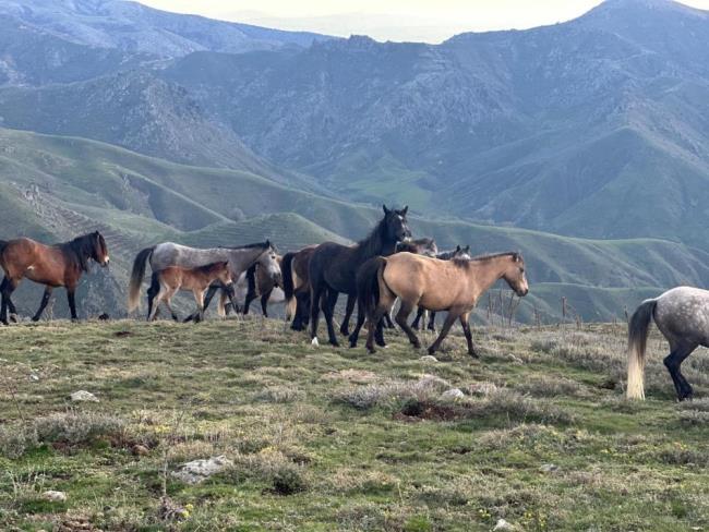 Editör Hakkında Marmara Editör