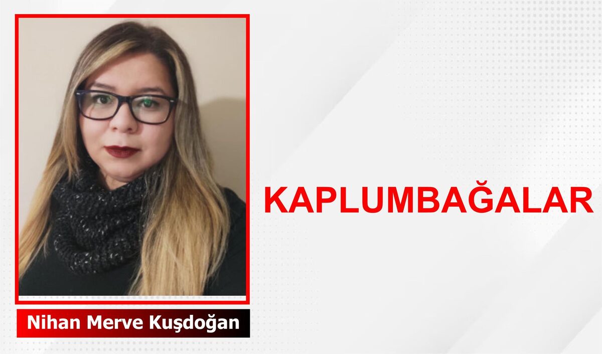 Yavaş Adımların Büyük Anlamı: Kaplumbağaların Dünyası