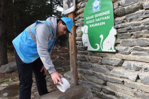 Yaz sıcaklarında sokak hayvanlarına da ‘Yıldırım’ takviye