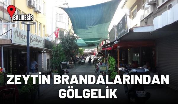 ZEYTİN BRANDALARINDAN GÖLGELİK