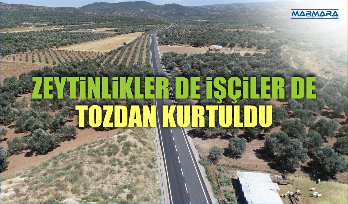 ZEYTİNLİKLER DE İŞÇİLER DE TOZDAN KURTULDU