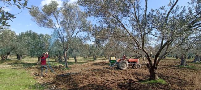 Balıkesir’in Edremit ilçesinde İlçe