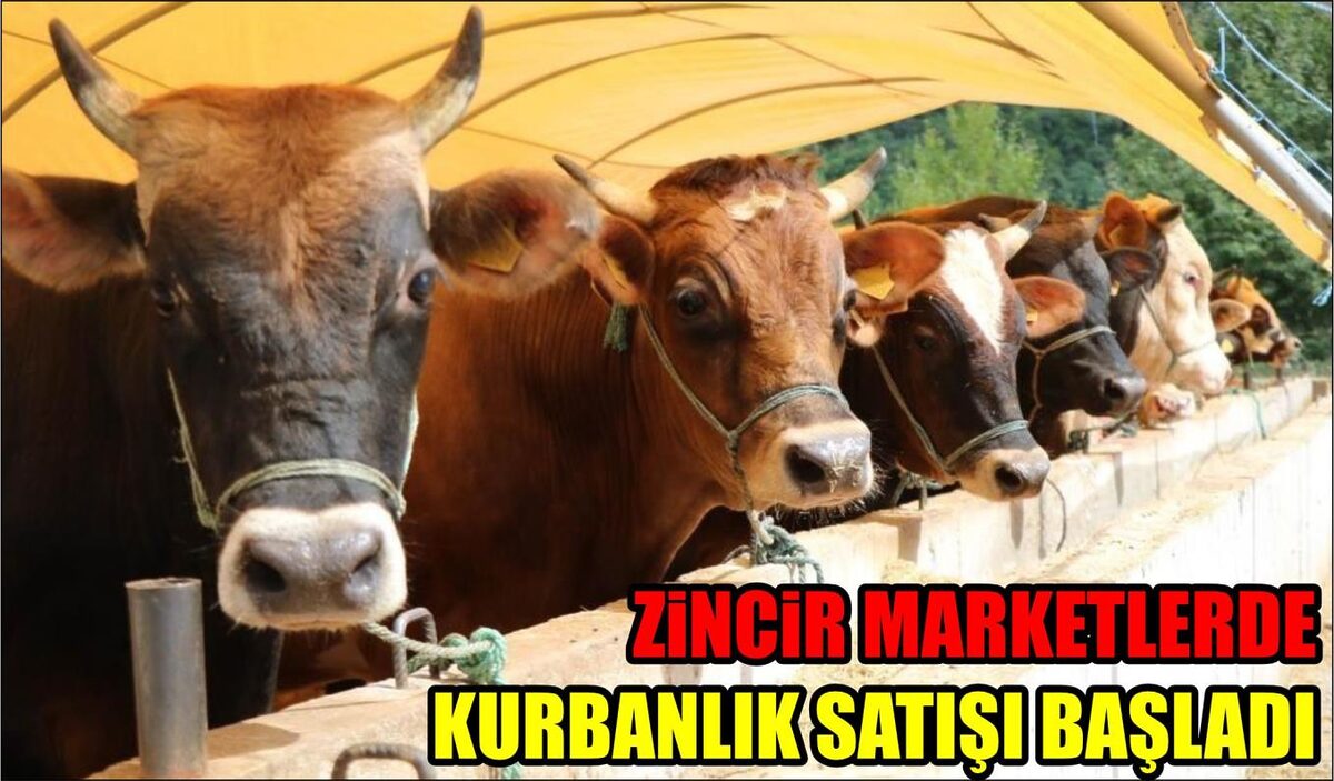 Kurban Bayramı’nın yaklaşmasıyla zincir