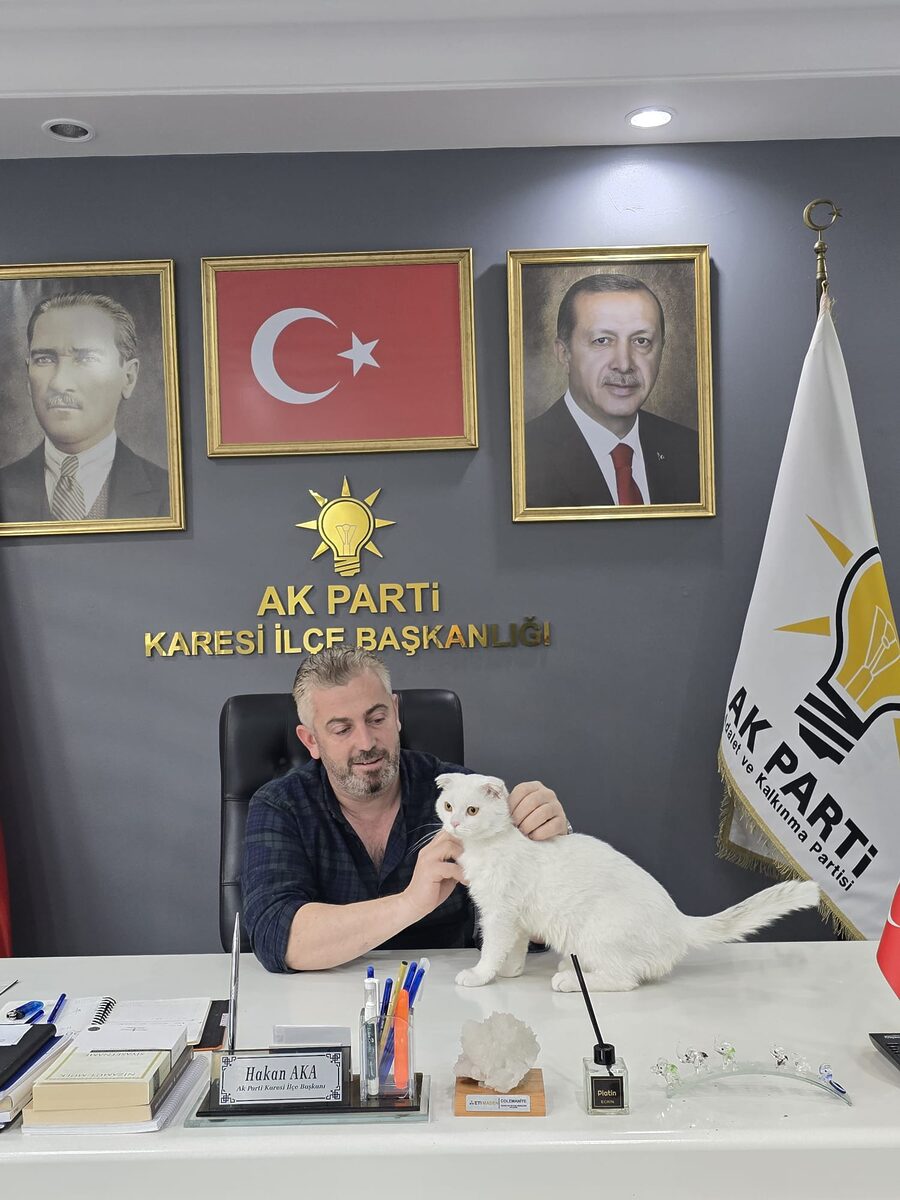 AK Parti Karesi İlçe