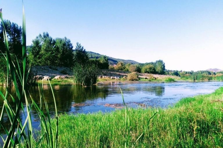 Balıkesir'in Karesi ilçesinde yer