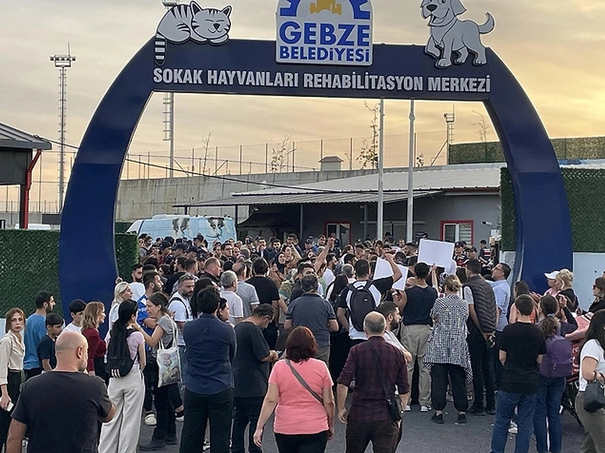 GEBZE’DEKİ HAYVAN KATLİAMINA TEPKİLER BÜYÜYOR