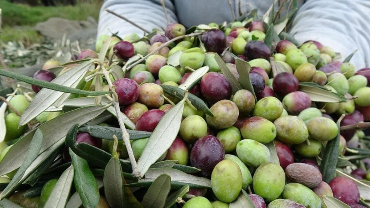 Erdek Belediye Başkanı Burhan