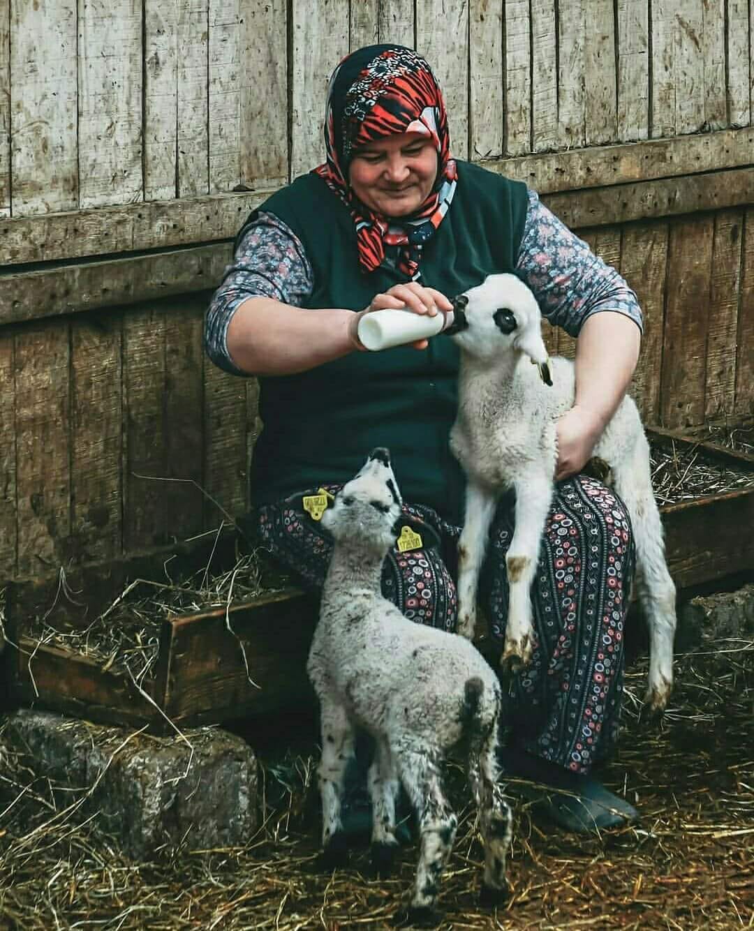 38949069 310001182893838 4278847905780989952 n - Marmara Bölge: Balıkesir Son Dakika Haberleri ile Hava Durumu