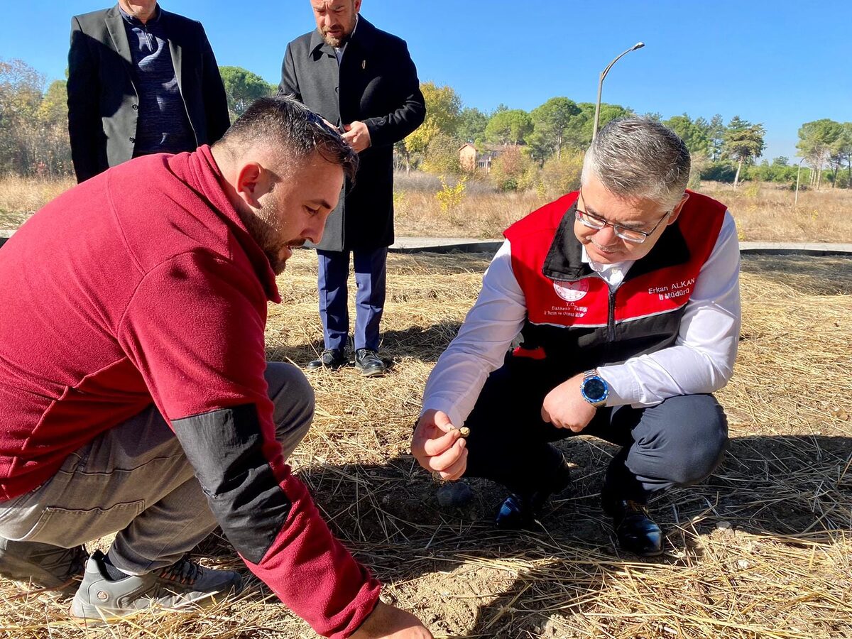 Balıkesir Tarım ve Orman