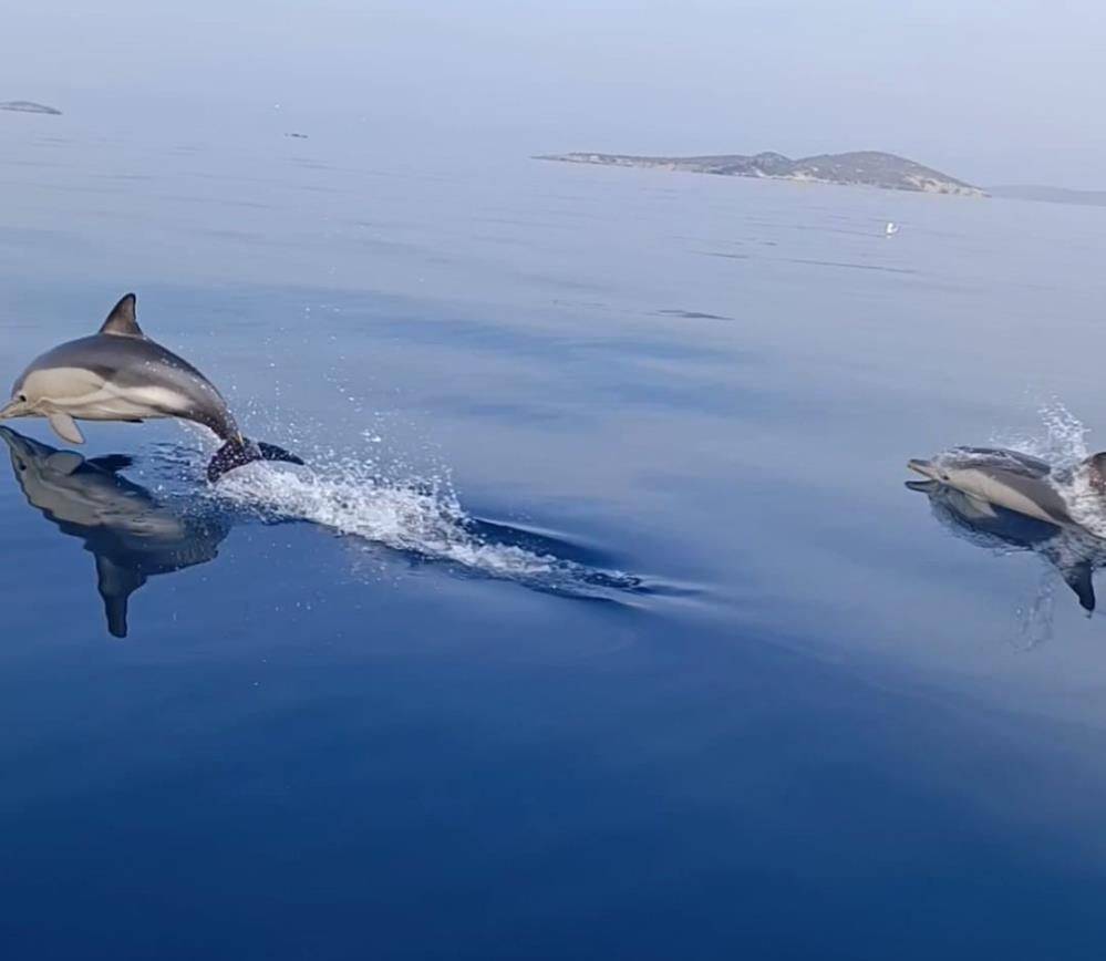 AW329851 02 - Marmara Bölge: Balıkesir Son Dakika Haberleri ile Hava Durumu