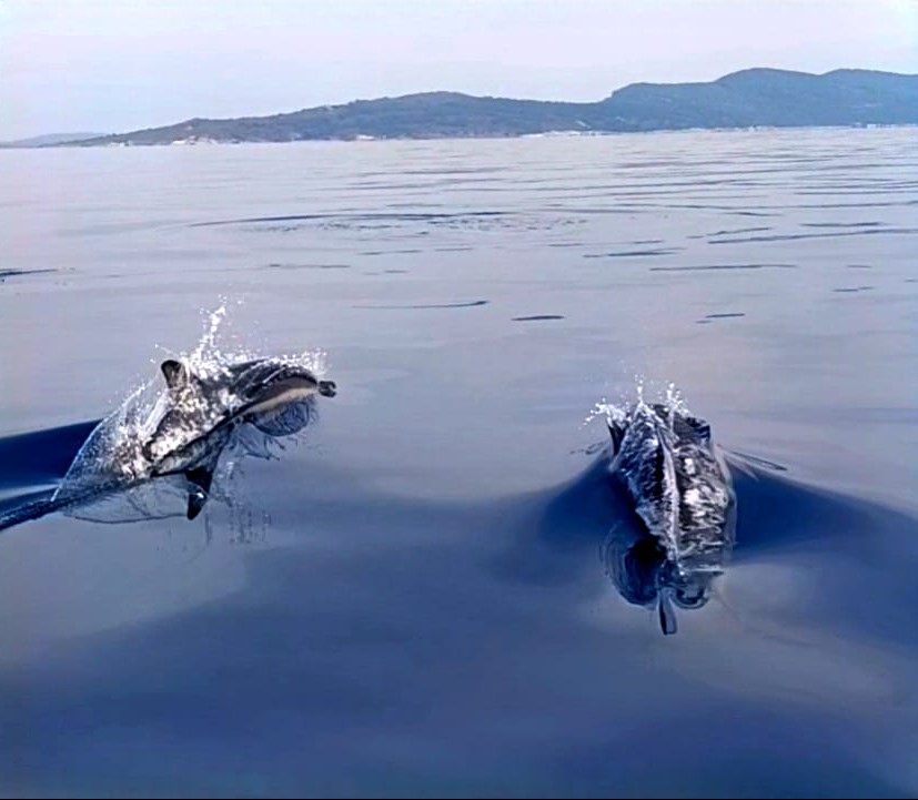 AW329851 05 - Marmara Bölge: Balıkesir Son Dakika Haberleri ile Hava Durumu