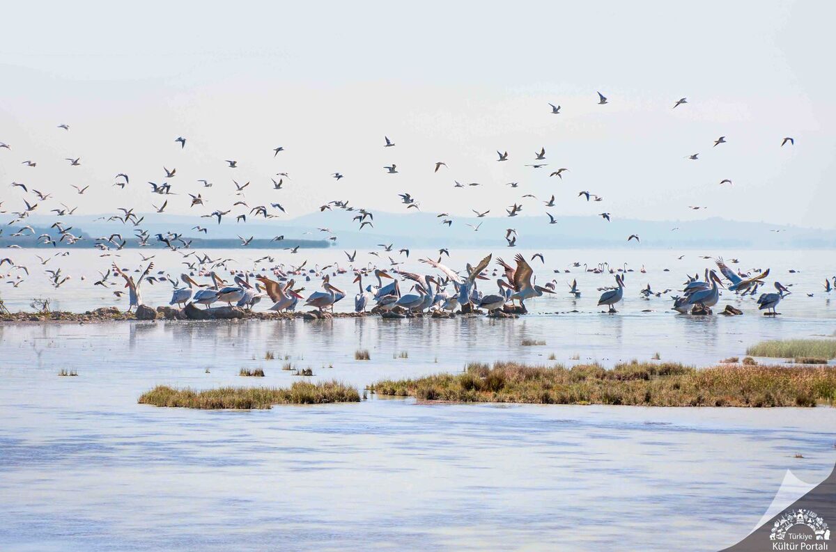 Balikesir Kus Cenneti National Park 4656x3075px 300 dpi 2 1 kopya - Marmara Bölge: Balıkesir Son Dakika Haberleri ile Hava Durumu