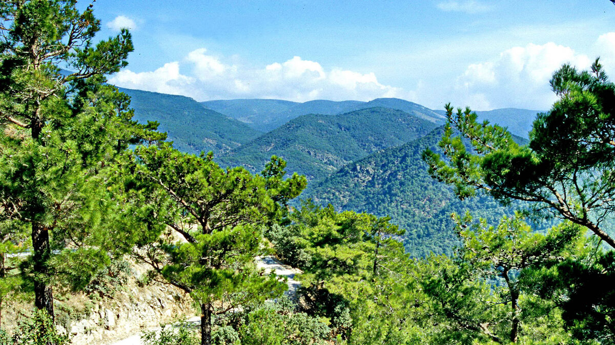 kaz daglari 2 - Marmara Bölge: Balıkesir Son Dakika Haberleri ile Hava Durumu