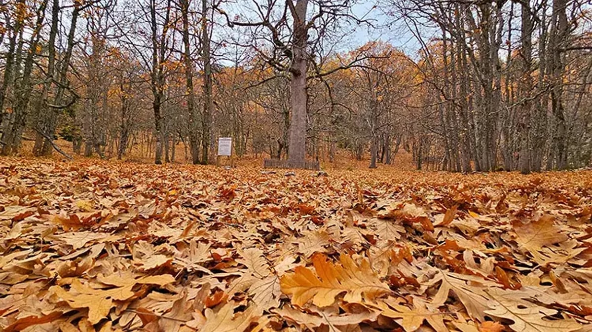 Isparta'nın Eğirdir ilçesinde yer