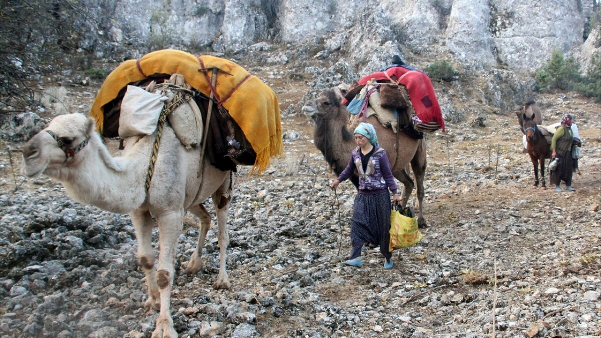 1444184 - Marmara Bölge: Balıkesir Son Dakika Haberleri ile Hava Durumu