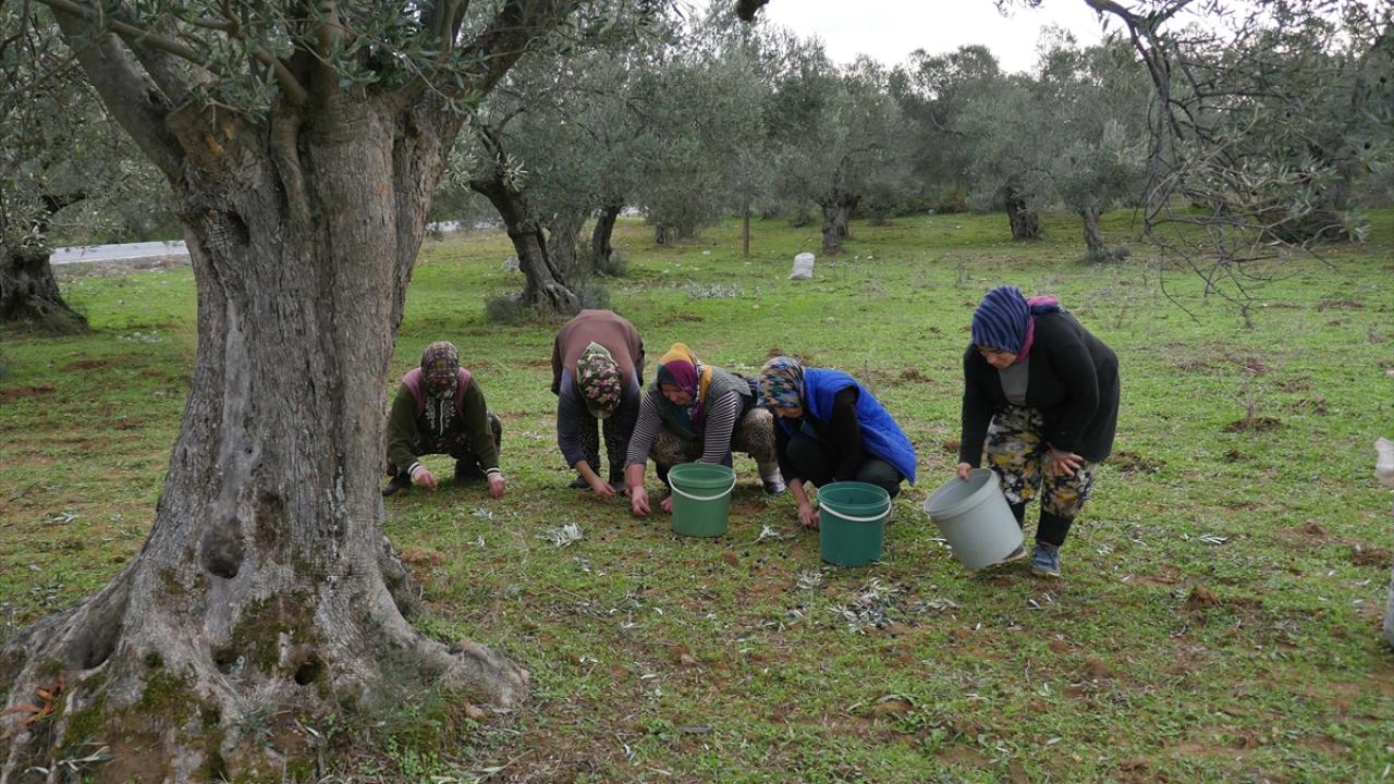 2159879 - Marmara Bölge: Balıkesir Son Dakika Haberleri ile Hava Durumu