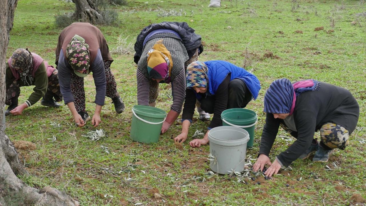 2159880 - Marmara Bölge: Balıkesir Son Dakika Haberleri ile Hava Durumu