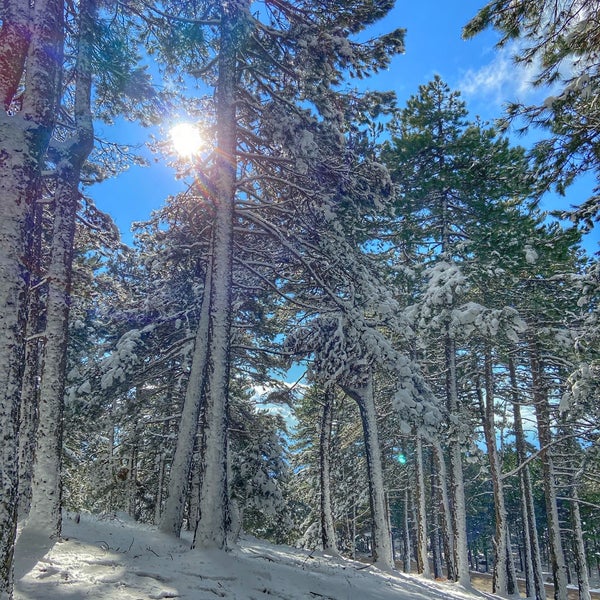 Edremit’in Kış Masalı: Hanlar Mevkii’ne Davetlisiniz! 76951262 PBHz1jwLi9RebFIZB JQDz1WTXl8gjG68k0Mio3KF4M - Marmara Bölge Gazetesi