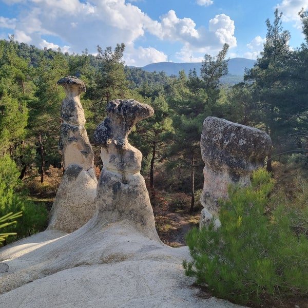 Balıkesir’in Savaştepe ilçesinde bulunan