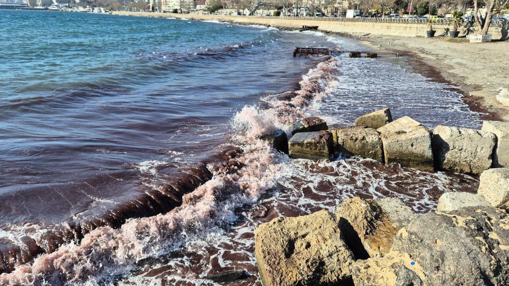 Marmara Denizi'nde etkili olan