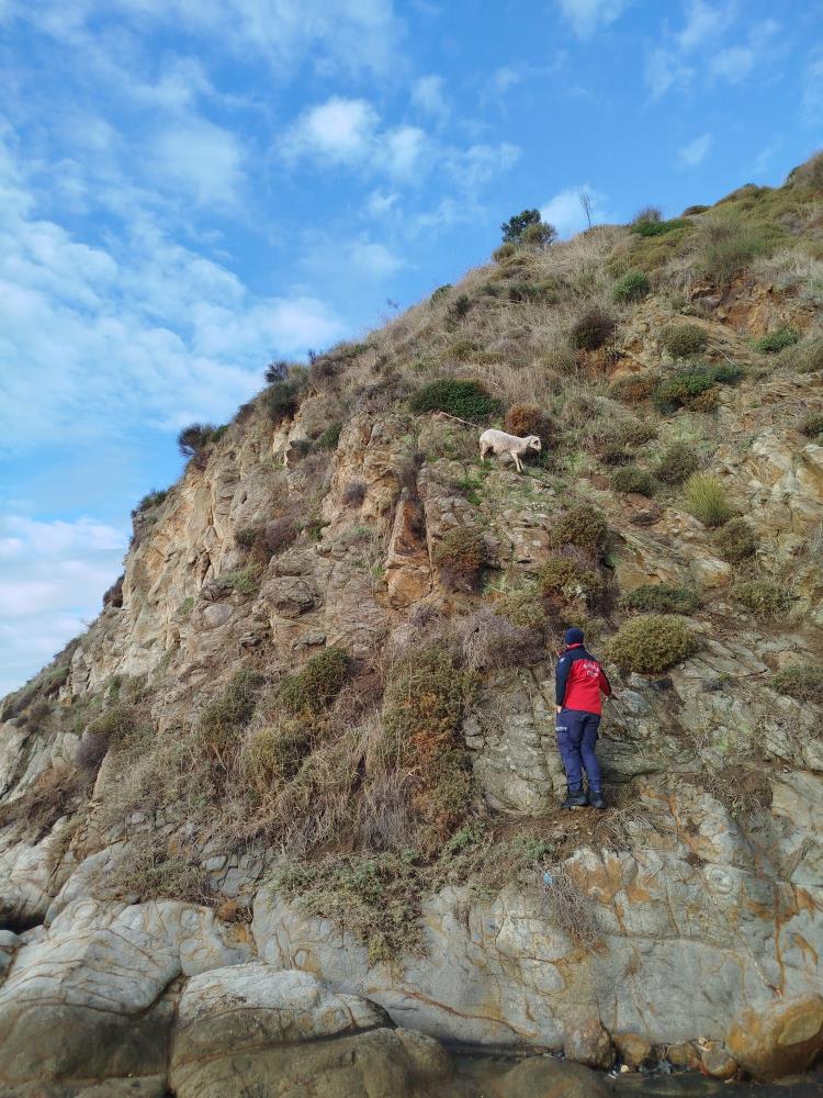 Balıkesir’in Erdek ilçesinde yaşanan