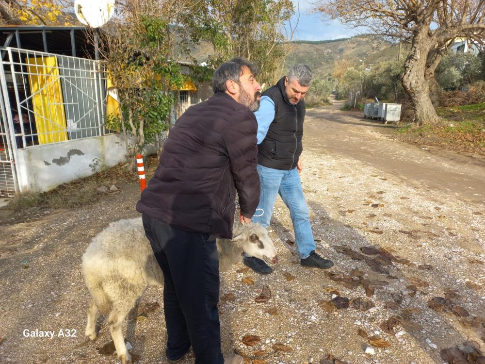 AW356043 06 - Marmara Bölge: Balıkesir Son Dakika Haberleri ile Hava Durumu