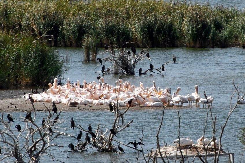 Bandirma Kus Cenneti4 848x566 1 - Marmara Bölge: Balıkesir Son Dakika Haberleri ile Hava Durumu