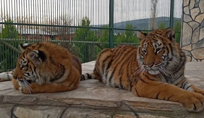 erdekland aquapark hayvanat bahcesi 700x407 1 - Marmara Bölge: Balıkesir Son Dakika Haberleri ile Hava Durumu