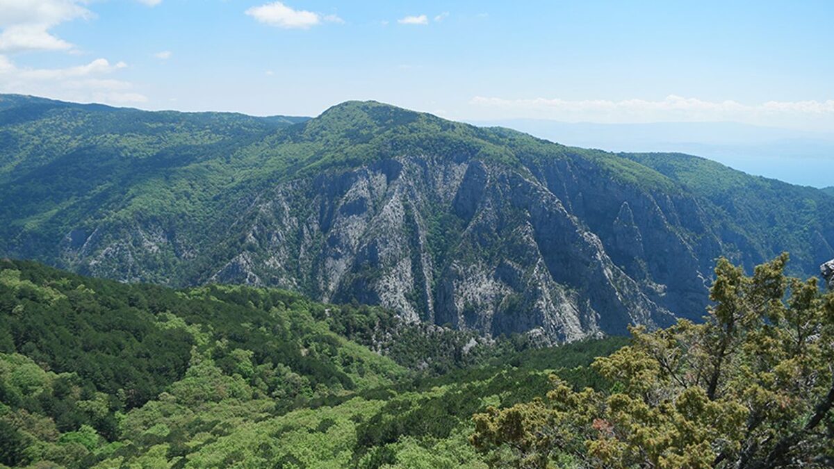 Soğuk kış günlerinde, doğanın