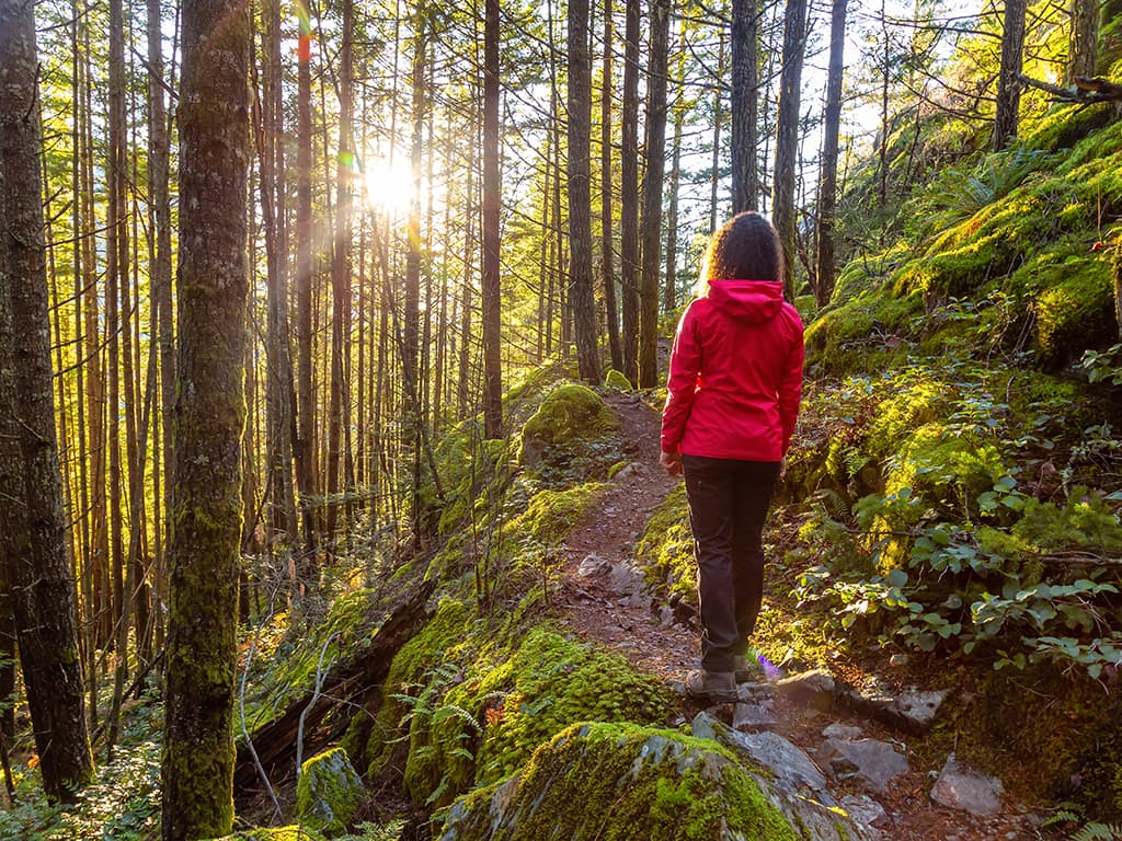 nefes orman trekking parkuru istanbul 3242 - Marmara Bölge: Balıkesir Son Dakika Haberleri ile Hava Durumu