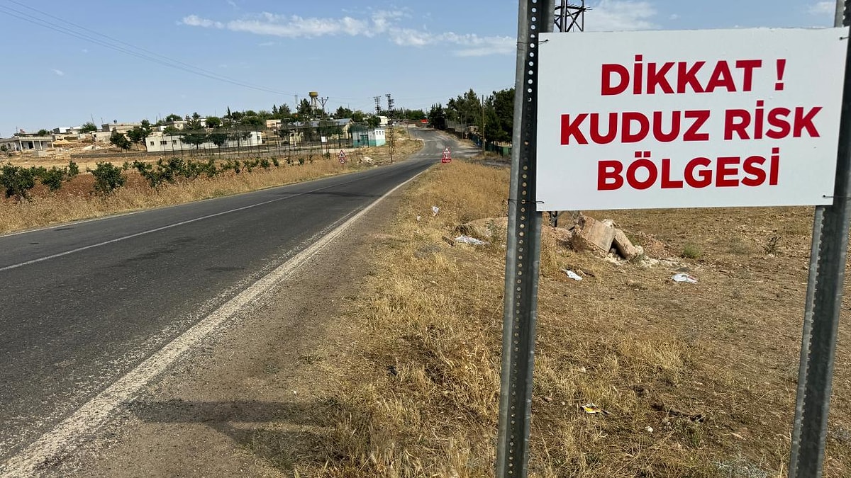 Şanlıurfa'da kuduz alarmı verildi.