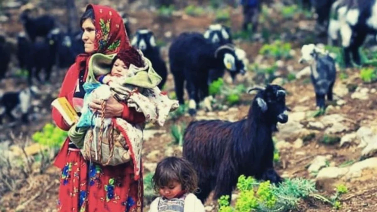 Bandırma Yörükleri, Anadolu’nun köklü