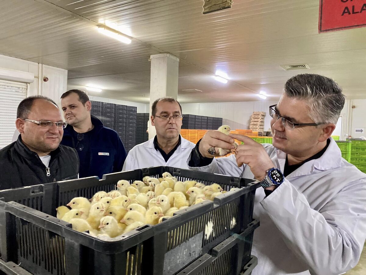 Türkiye'nin en büyük broiler kuluçkahanesi olarak bilinen ve Balıkesir Organize