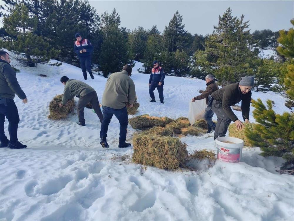 Balıkesir'in Kazdağları bölgesinde, yaban hayvanlarının kış aylarında beslenme zorlukları yaşamamaları