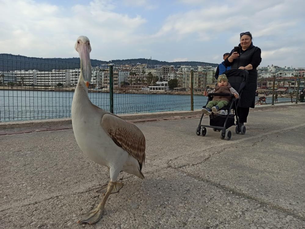 AW377688 01 - Marmara Bölge: Balıkesir Son Dakika Haberleri ile Hava Durumu