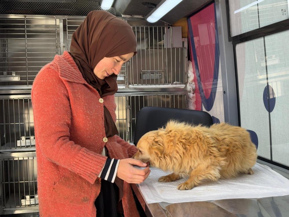 Balıkesir Büyükşehir Belediyesi’nin ücretsiz veteriner hizmeti sunan “Can Dost” aracı,