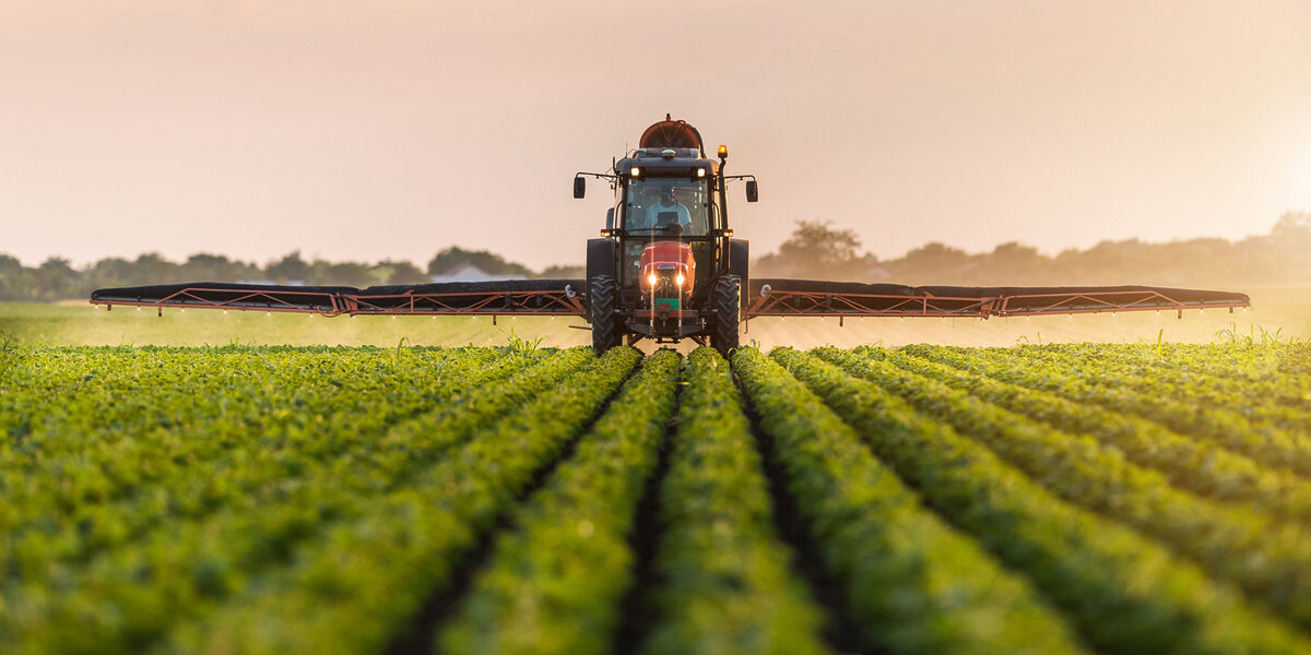 Agrofood - Marmara Bölge: Balıkesir Son Dakika Haberleri ile Hava Durumu