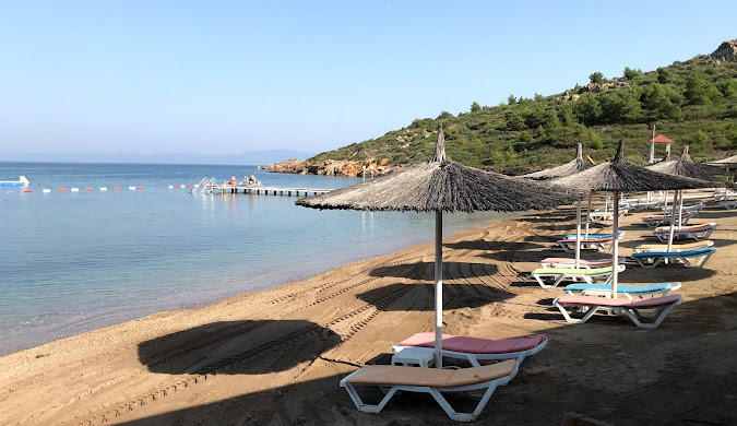 Beach Tilki Koyu - Marmara Bölge: Balıkesir Son Dakika Haberleri ile Hava Durumu