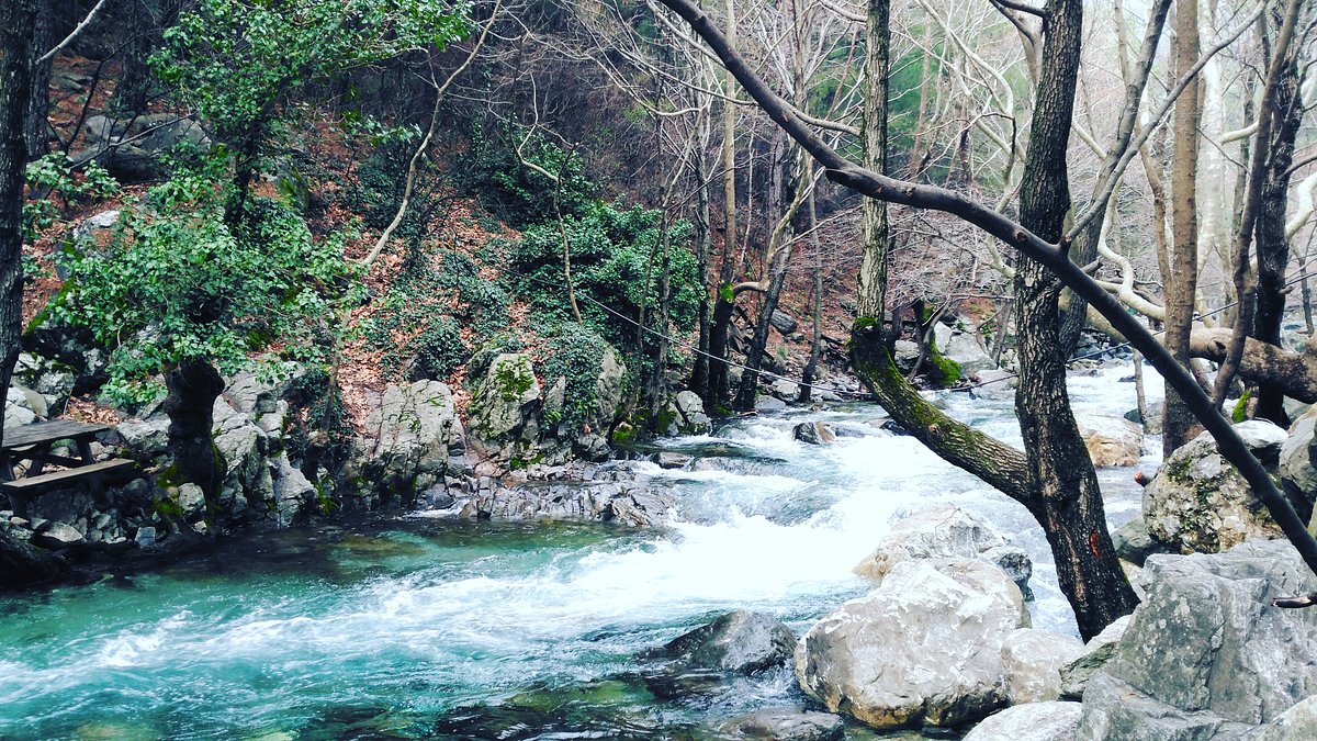 kazdagi milli parki - Marmara Bölge: Balıkesir Son Dakika Haberleri ile Hava Durumu