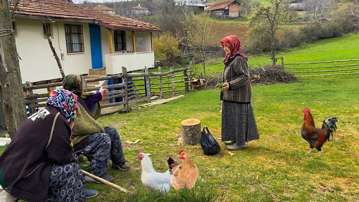 maxresdefault 9 - Marmara Bölge: Balıkesir Son Dakika Haberleri ile Hava Durumu