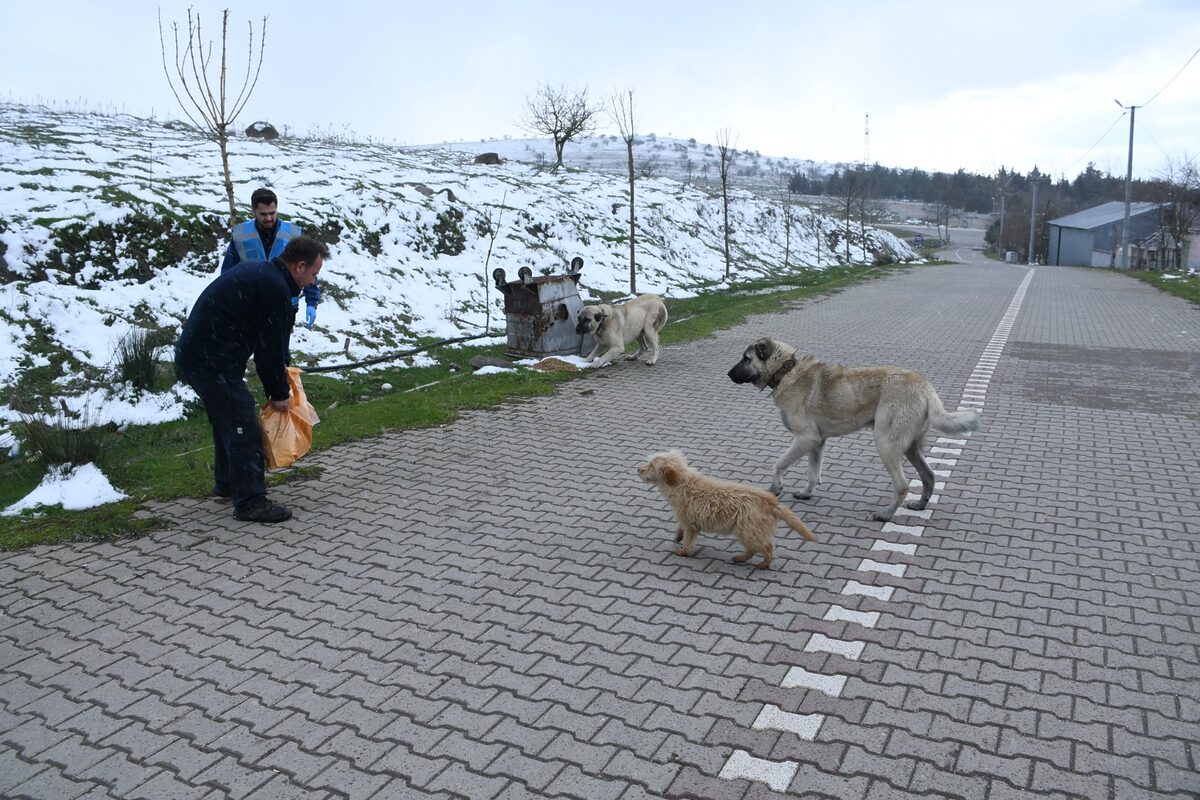 18f3d542 4e8e 4335 ad74 8872611e869d - Marmara Bölge: Balıkesir Son Dakika Haberleri ile Hava Durumu