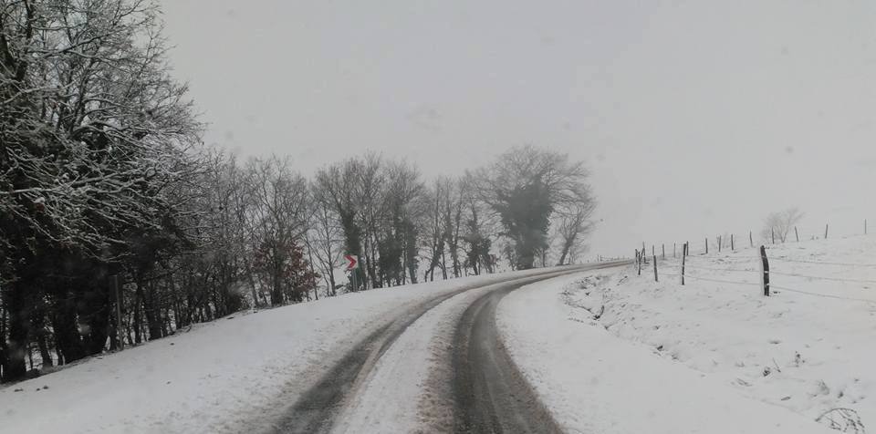 Meteoroloji'nin son tahminlerine göre, Gönen'de kar yağışı yerini yağmura bırakırken,