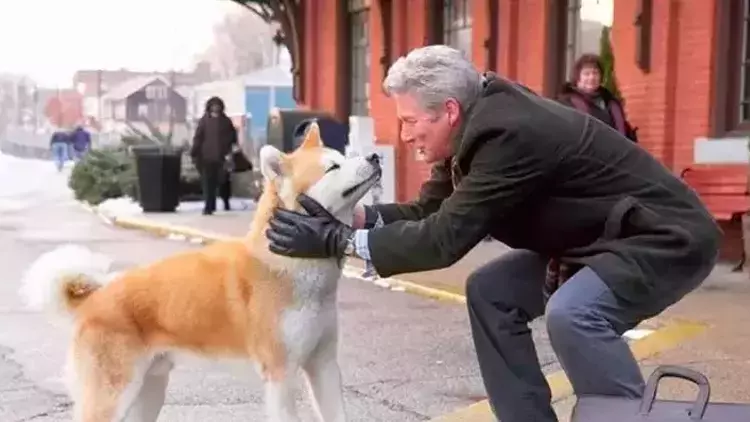 Gerçek bir hikayeden uyarlanan "Hachiko: Bir Köpeğin Hikayesi" filmi, izleyicilere