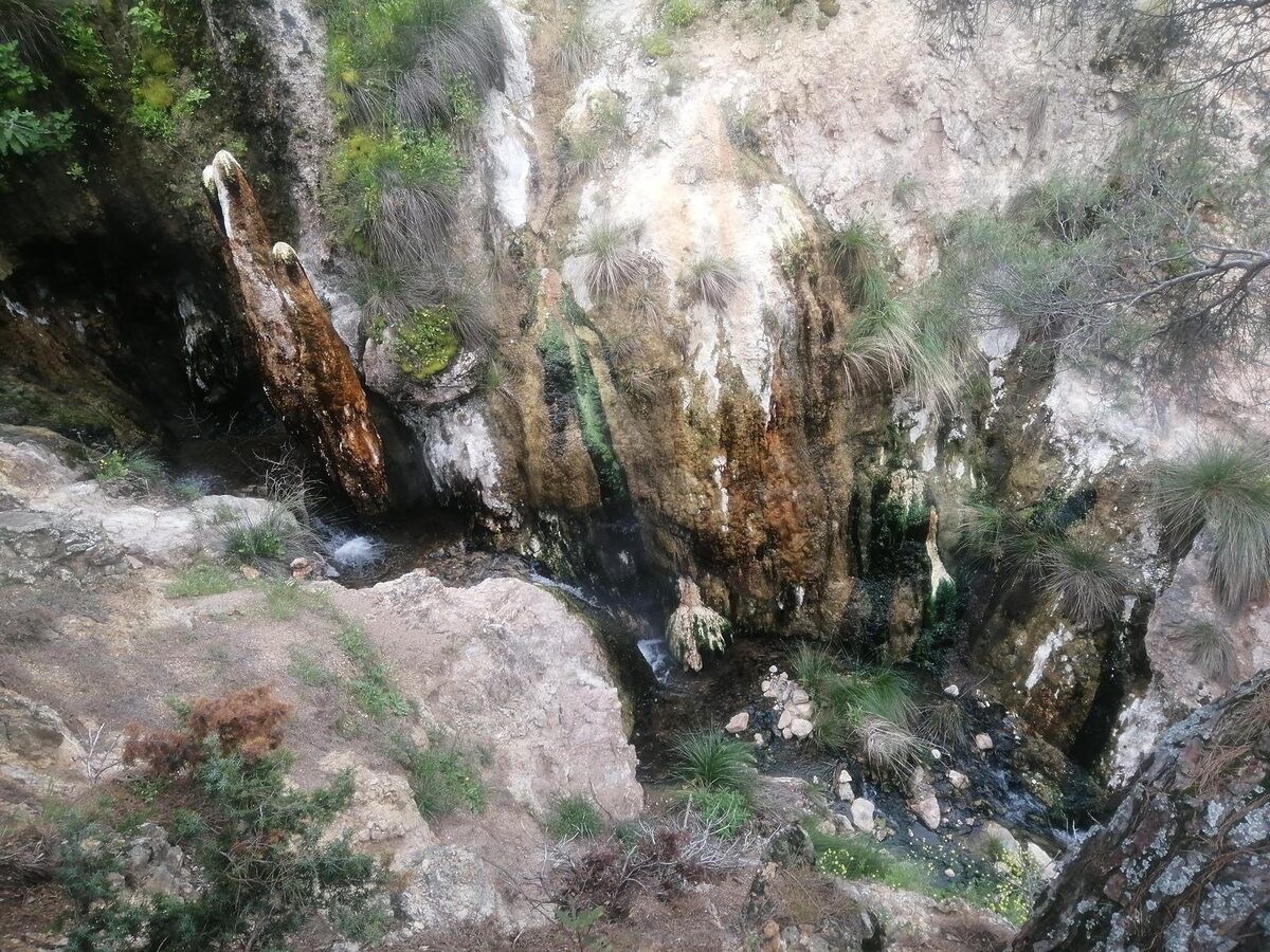 Sındırgı Belediye Başkanı Serkan Sak, dünyada eşine az rastlanan Hisaralan