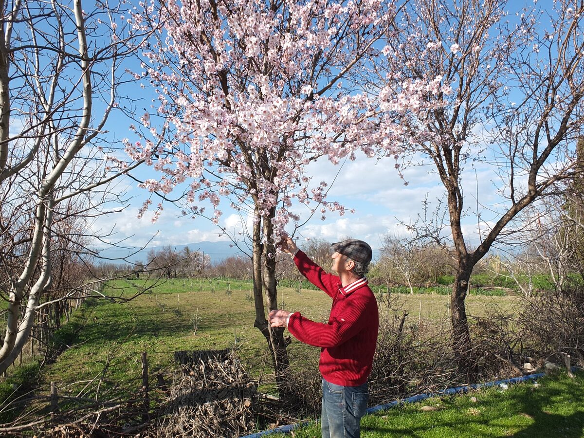 AW382663 02 - Marmara Bölge: Balıkesir Son Dakika Haberleri ile Hava Durumu