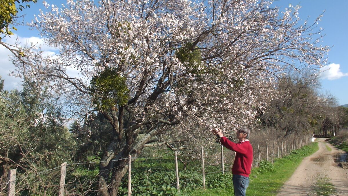 AW382663 03 - Marmara Bölge: Balıkesir Son Dakika Haberleri ile Hava Durumu