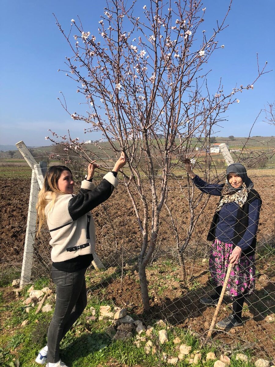 Balıkesir'de ocak ayı mevsim normallerinin üstüne ulaşan hava sıcaklığı nedeniyle